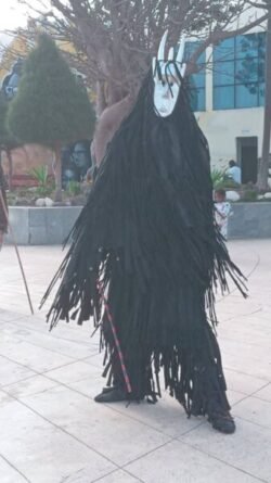 Festival Des Masques Vivants